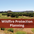 Wildfire Protection Plan