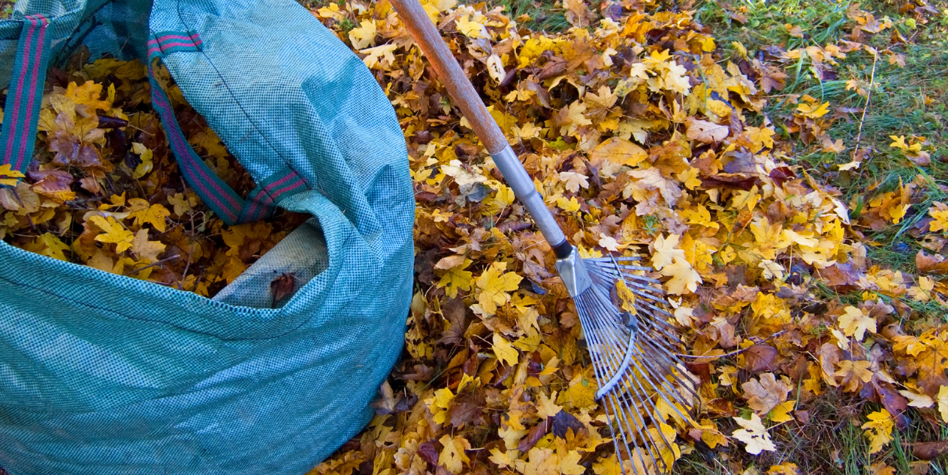 Cloth bag filled with autumn leaves and rake in the background