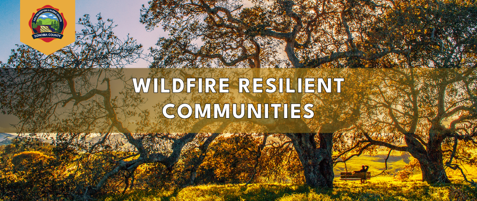 Wildfire Resilient Sonoma County