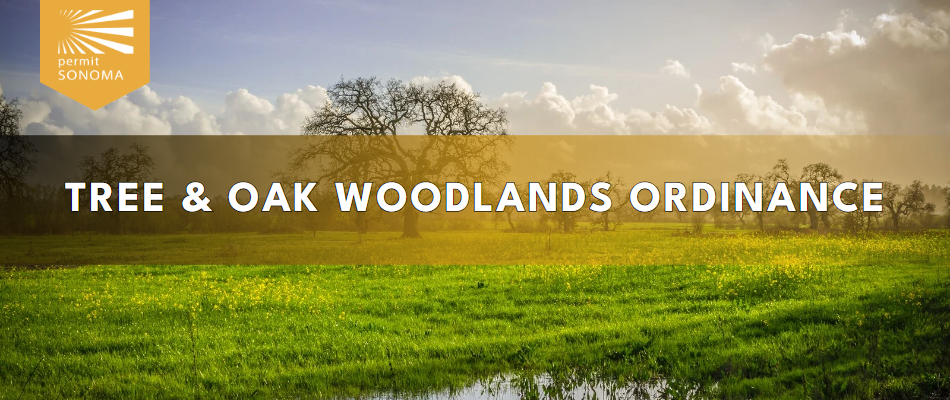 Tree & Oak Woodlands Ordinances