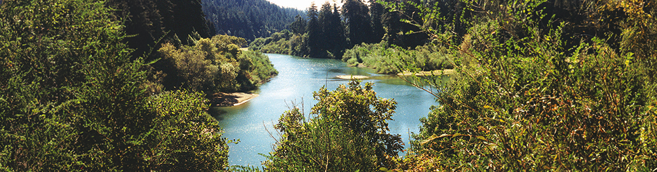 Russian River