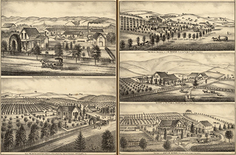 Collage of five historic drawings of farm homes and farmland in Sonoma County. Clockwise from top left: 1) Residence and Foundry of C.P. Hatch, Petaluma, Sonoma County, California. 2) Rose Glinn Residence of J.M. Freeman, Petaluma TR., Sonoma County, California. 3) Residence of William P. Hall, Bloomfield, Sonoma County, California. 4)Residence of Jonathan Harmon, Petaluma, Sonoma County, California. 5) Residence of William Sexton, Nurseryman, Grower of Fruit, Ornamental Trees and Shrubbery, Petaluma, California.