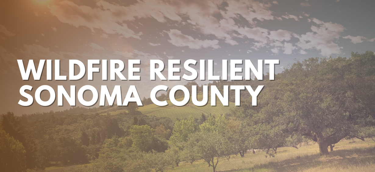Wildfire Resilient Sonoma County