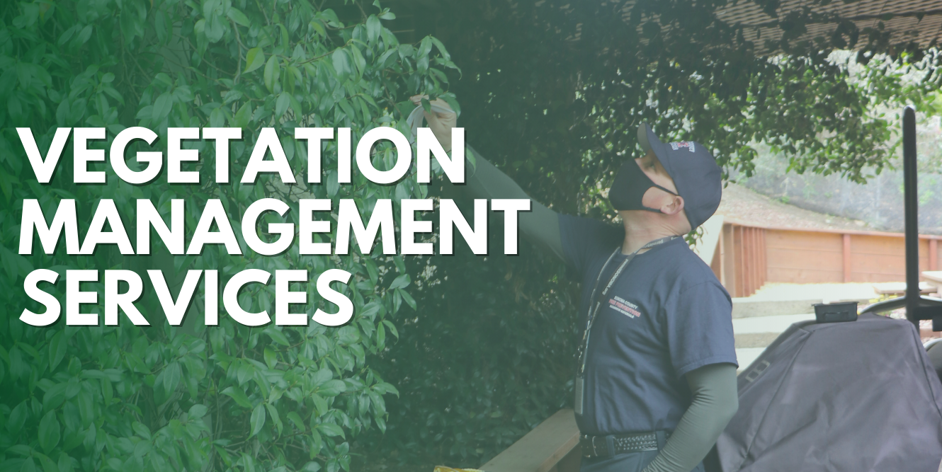Vegetation Management Notice of Abatement