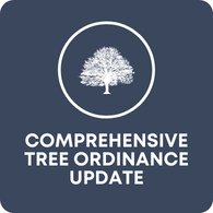 Comprehensive Tree Ordinance